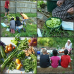 Bridie's Garden